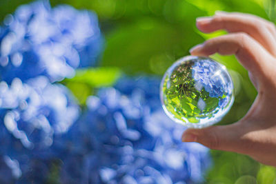 Close-up of hand holding glass