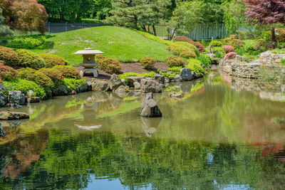 Scenic view of lake by trees