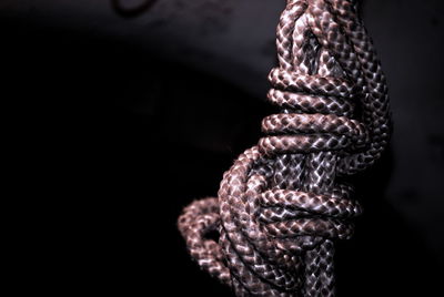 Close-up of object over black background