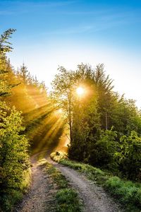 Road amidst trees against clear sky during sunset