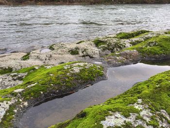 Scenic view of river flowing through rocks