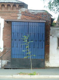 Window on wall of building