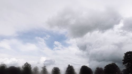 Low angle view of trees against sky