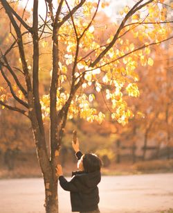 Boy playing underneath tree during sunset