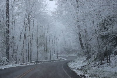 Road amidst trees in forest during winter