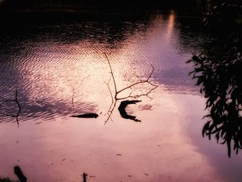 High angle view of silhouette birds by lake against sky during sunset