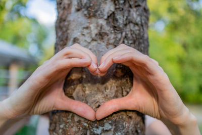 Women's hands show the heart in front of the tree trunk.