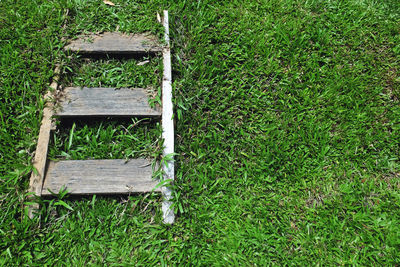 High angle view of bench in park