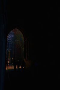 Rear view of woman in dark room