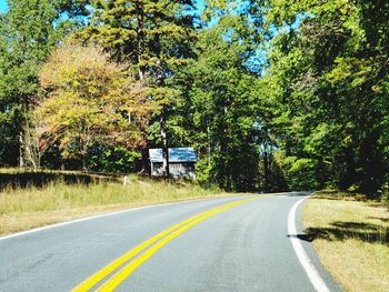 Road by trees and plants