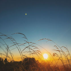 Scenic view of sunset over field