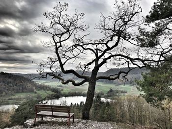 Scenic view of tree by mountain against sky