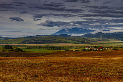 Scenic view of agricultural field against sky