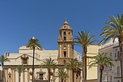 Low angle view of palm trees and building against blue sky