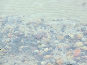 Pebbles in sea