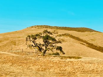 Scenic view of desert against clear blue sky