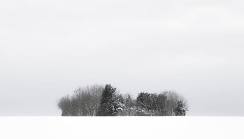 Trees on snow covered landscape against clear sky