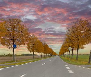 Road amidst trees against sky during autumn