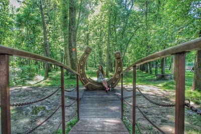 Walkway amidst trees in forest