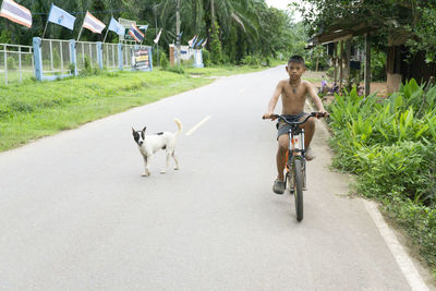 Rear view of man riding horse on road