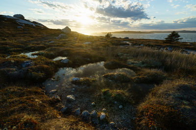 Scenic view of sea against sky during sunset