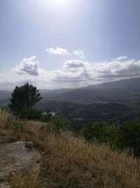 Scenic view of landscape against sky