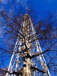 Low angle view of bare trees against blue sky