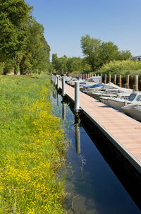 Scenic view of lake against clear blue sky