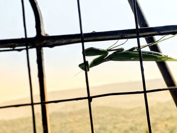 Close-up of barbed wire fence against sky