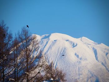 Low angle view of snowcapped mountain against clear blue sky