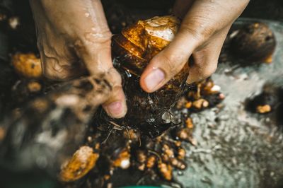 High angle view of man preparing food