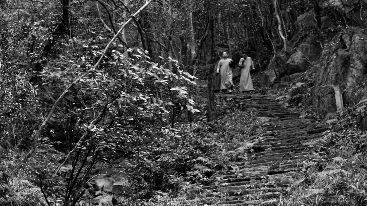 Full length outdoors day togetherness plant bonding forest