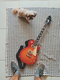 High angle view of cat playing guitar on floor at home