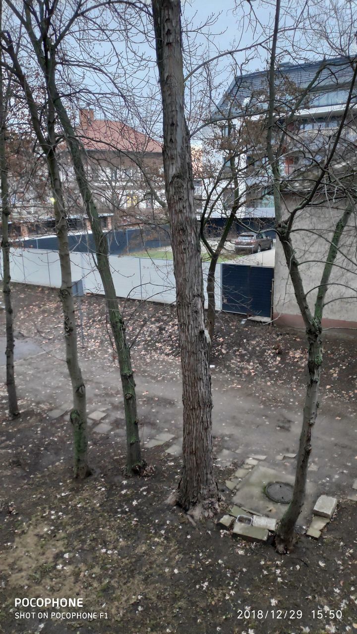 BARE TREES AND BUILDINGS DURING WINTER