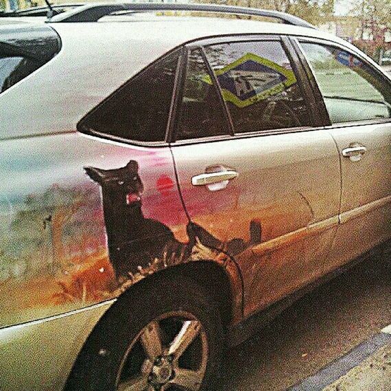 transportation, land vehicle, mode of transport, stationary, wheel, car, bicycle, street, tire, parking, road, day, parked, outdoors, high angle view, part of, abandoned, no people, graffiti, old