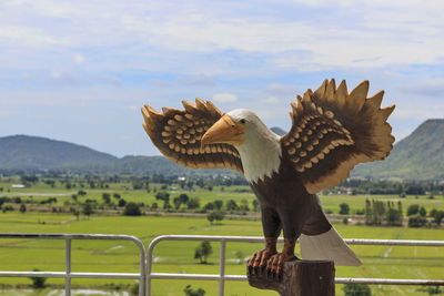 Statue of bird in the garden.