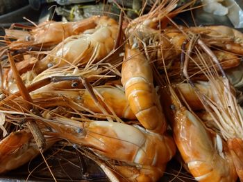 High angle view of seafood for sale at market