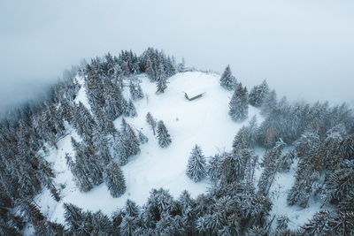 Aerial view of snow covered trees on field against sky