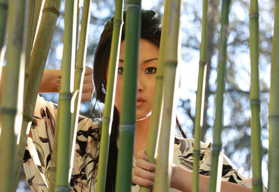 Close-up of woman looking through bamboo plants