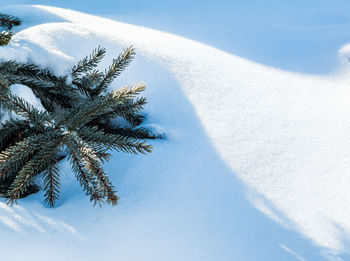 High angle view of tree on snow covered field