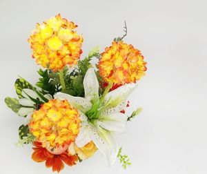 Close-up of orange flower against white background