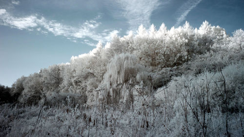 Scenic view of snow covered land against sky