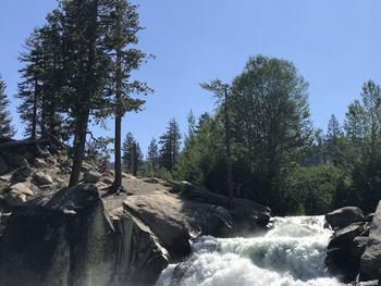 Scenic view of waterfall in forest against clear sky