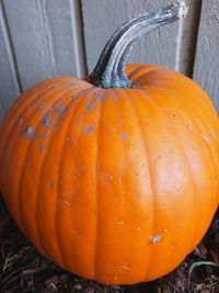 High angle view of pumpkin during autumn