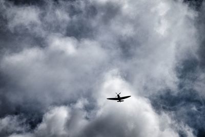 Low angle view of airplane flying in sky