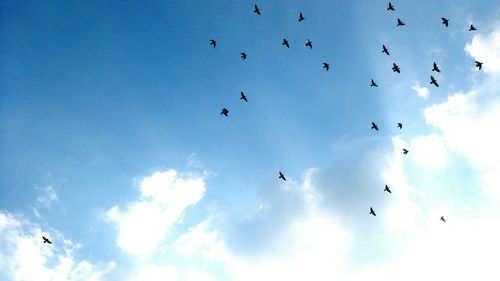 Low angle view of birds flying against sky