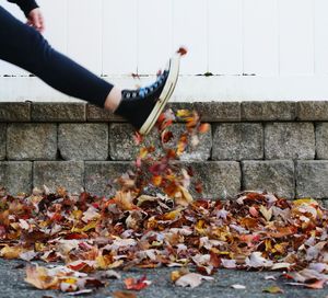 Low section of person on maple leaves during autumn