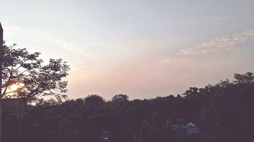 Low angle view of trees against sky