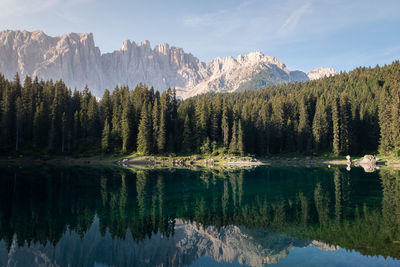 Scenic view of lake by trees in forest against sky