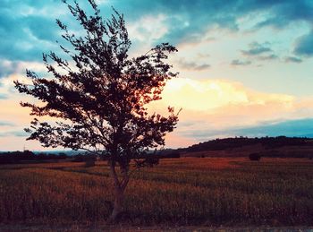 Scenic view of field against cloudy sky